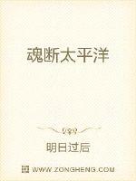 我和女老板