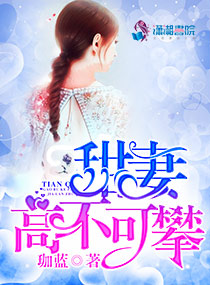 特务搜查官风子magnet