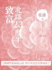 龙珠传奇百度
