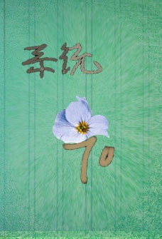 上位2之盛筵