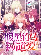 紫轩小说珍藏四部曲