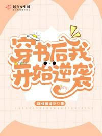 韦浩小说