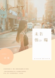 沃野布吉岛完整版视频