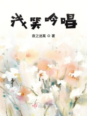 模拟飞行10