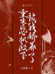 全职高手动漫百度云