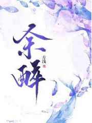 opgg英雄数据