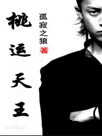 金瓶双艳下载