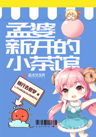 天网2024