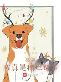 佐山爱中文字幕在线播放