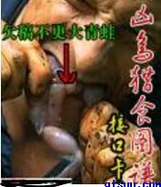 杉杉来了免费观看全集电视连续剧