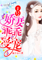 夏天公车顶臂女配合