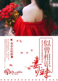 盛夏来吃小说完整版