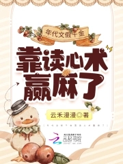 公园之夜小说