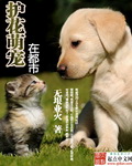 好看站手机版板