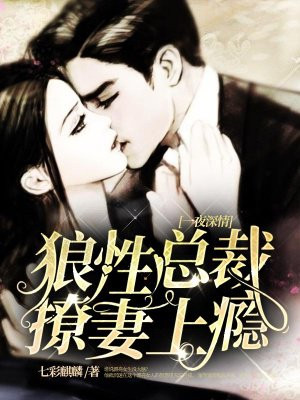 茄子加速器