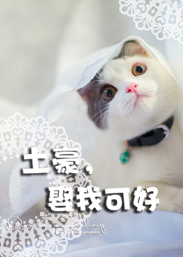 秘密动漫
