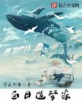 se0108网站在线观看