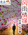 婚前试爱全集