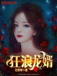 华灯初上第三季在线观看