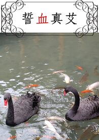 新婚的小茹1~20