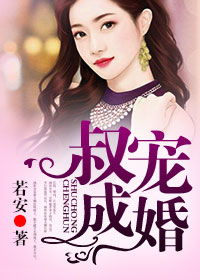 新红楼