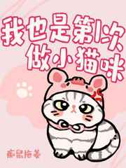 奇书网txt全集