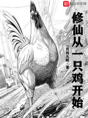 男男(h)肉视频