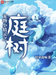 张恒小说