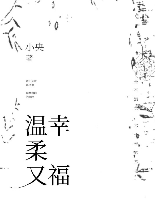 幻影追凶