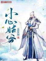 怪才驸马