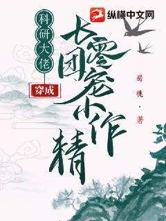 他似火(军婚)