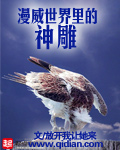 野花韩国高清中文免费观看视频
