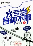 猫咪官网