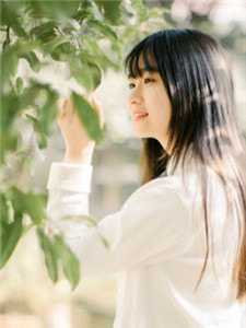 9696视频播放在线观看