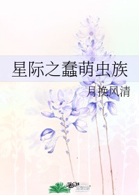 《情s天下》书包