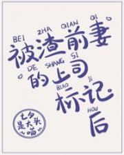 二次元之光明掌控