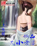 严教授要撞坏了全文免费