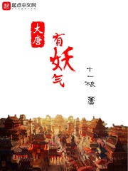 叱咤之城电视剧免费观看完整版