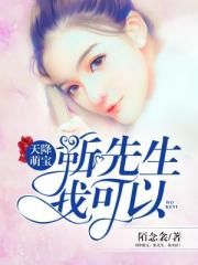 一起来看流星雨小说