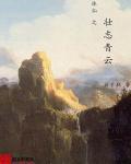 宸汐缘txt下载