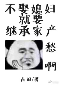 戴流苏耳环的少女 电视剧