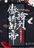 bb的种类