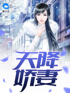 我怀了老公他爸爸的孩子