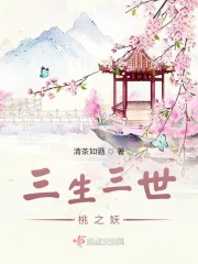 陈方安生与张子强