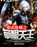 隐秘的访问者