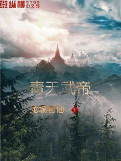律师大人宠妻无罪苏络小说