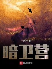 亚洲精华国产精华液的护肤功效