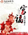 农村寡妇免费理论片