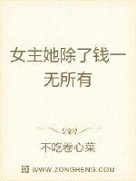 纱窗的种类