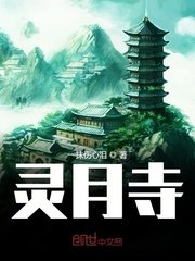 老司机影视